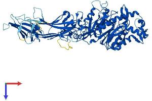 PADI3 Protein (AA 1-664) (His tag)