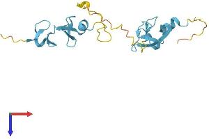 CSRP2 Protein (AA 1-193) (His tag)