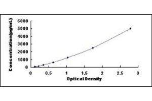 Typical standard curve (Claudin 9 ELISA Kit)