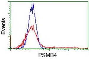 HEK293T cells transfected with either RC205723 overexpress plasmid (Red) or empty vector control plasmid (Blue) were immunostained by anti-PSMB4 antibody (ABIN2455091), and then analyzed by flow cytometry. (PSMB4 Antikörper)
