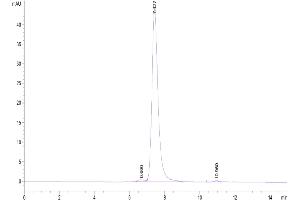 Size-exclusion chromatography-High Pressure Liquid Chromatography (SEC-HPLC) image for Fms-Related Tyrosine Kinase 4 (FLT4) (AA 25-776) protein (His-Avi Tag,Biotin) (ABIN7275840)