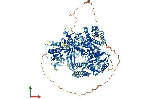 Protein Structure (PS) image for Telomerase Reverse Transcriptase (TERT) (AA 1-1122) protein (His tag) (ABIN7562543)