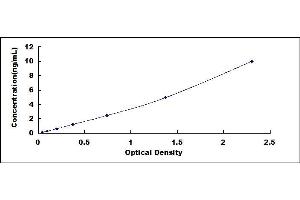 Typical standard curve (GPR37 ELISA Kit)