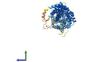 Protein Structure (PS) image for Fanconi Anemia Complementation Group G (FANCG) (AA 1-622) protein (His tag) (ABIN7547599)