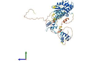 Protein Structure (PS) image for Jerky Homolog (JRK) (AA 1-557) protein (His tag) (ABIN7557641)
