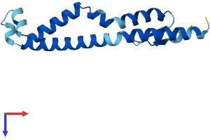 CTD Nuclear Envelope Phosphatase 1 Regulatory Subunit 1 (CNEP1R1) (AA 1-125) protein (His tag)