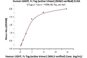 Immobilized Human HVEM, His Tag (ABIN4949110,ABIN4949111) at 5 μg/mL (100 μL/well) can bind Human LIGHT, Fc Tag (active trimer) (MALS verified) (ABIN6973146) with a linear range of 0. (TNFSF14 Protein (AA 74-240) (Fc Tag))