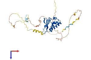Protein Tob1 (TOB1) (AA 1-345) protein (His tag)