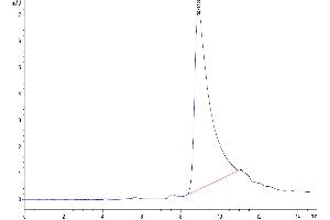 Size-exclusion chromatography-High Pressure Liquid Chromatography (SEC-HPLC) image for Apolipoprotein A-II (APOA2) (AA 19-100) protein (Fc Tag) (ABIN7273848)