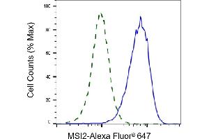 Validation of MSI2 knockdown using flow cytometry. (Rekombinanter MSI2 Antikörper)