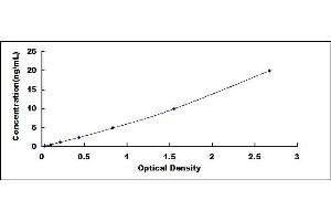 Typical standard curve (RBM20 ELISA Kit)