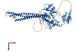 ACAP1 Protein (AA 1-740) (His tag)