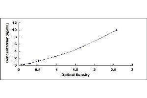 TSPAN1 ELISA Kit