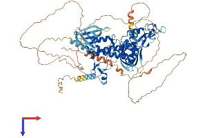 AlphaFold protein structure predicition of Human Recombinant PLEKHM3 Protein, UniprotID Q6ZWE6