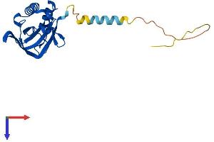 DTD1 Protein (AA 1-209) (His tag)