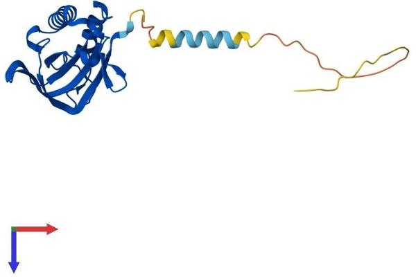 DTD1 Protein (AA 1-209) (His tag)