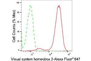 Flow cytometric analysis of Visual system homeobox 2 expression in HepG2 cells using Visual system homeobox 2 antibody (ABIN7800843), 1:2,000). (Rekombinanter VSX2 Antikörper)