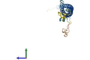 AlphaFold protein structure predicition of Mouse Recombinant Snap23 Protein, UniprotID O09044