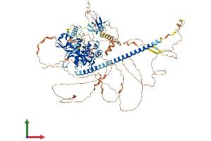 AlphaFold protein structure predicition of Mouse Recombinant Map3k10 Protein, UniprotID Q66L42