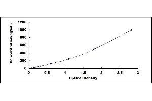 Typical standard curve (VEGFD ELISA Kit)