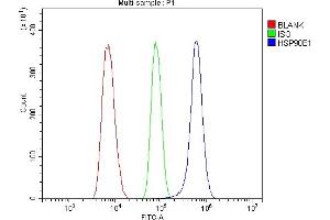 Flow Cytometry analysis of THP-1 cells using anti-GRP94 antibody (ABIN3042463).
