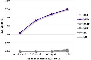 ELISA plate was coated with serially diluted Mouse IgG2c-UNLB and quantified. (Maus IgG2c Isotyp-Kontrolle)