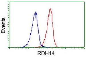 Image no. 1 for anti-Retinol Dehydrogenase 14 (All-Trans/9-Cis/11-Cis) (RDH14) antibody (ABIN1500656) (RDH14 Antikörper)