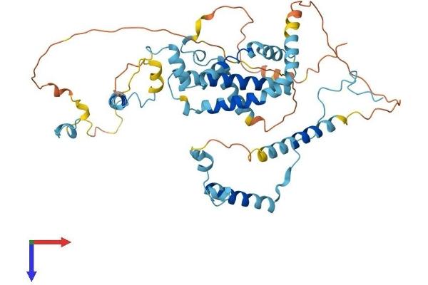 UTP3 Protein (AA 1-479) (His tag)