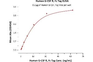 Immobilized Human G-CSF, Tag Free (ABIN2181135,ABIN2693589) at 2 μg/mL (100 μL/well) can bind Human G-CSF R, Fc Tag (ABIN2181147,ABIN2181146) with a linear range of 1-16 ng/mL (QC tested). (CSF3R Protein (AA 25-621) (Fc Tag))