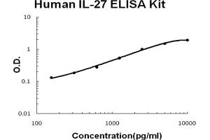 Human IL-27 Accusignal ELISA Kit Human IL-27 AccuSignal ELISA Kit standard curve. (IL-27 ELISA Kit)