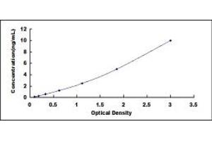 Typical standard curve (RGS5 ELISA Kit)