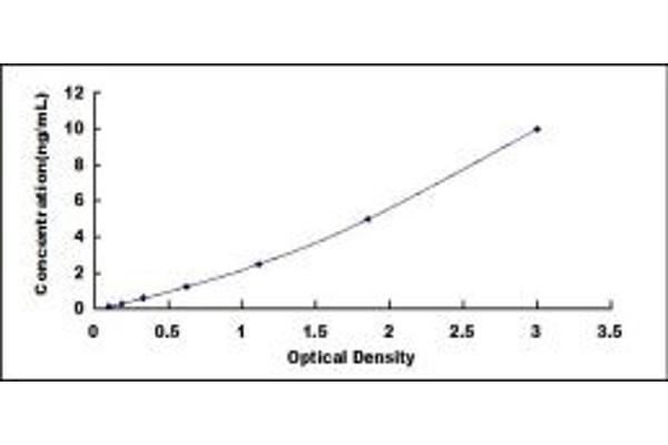 RGS5 ELISA Kit