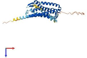 CXCR6 Protein (AA 1-342) (His tag)