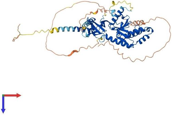 CACNB3 Protein (AA 1-484) (His tag)
