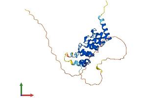 Protein Structure (PS) image for Regulatory Factor X-Associated Ankyrin Containing Protein (RFXANK) (AA 1-269) protein (His tag) (ABIN7556400)