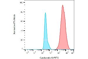 Separation of MCF-7 human breast adenocarcinoma cell line (red) from human peripheral whole blood (blue) in flow cytometry analysis (intracellular staining) stained using anti-human cytokeratin 19 (A53-B/A2) FITC antibody (concentration in sample 9 μg/mL). (Cytokeratin 19 Antikörper  (FITC))