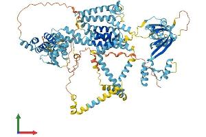 Protein Structure (PS) image for Wolfram Syndrome 1 (WFS1) (AA 1-890) protein (His tag) (ABIN7556012)