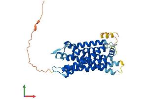 Protein Structure (PS) image for Cysteinyl Leukotriene Receptor 2 (CYSLTR2) (AA 1-346) protein (His tag) (ABIN7546535)