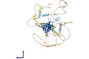 AlphaFold protein structure predicition of Human Recombinant NUMB Protein, UniprotID P49757