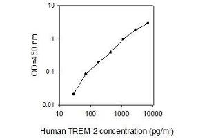 ELISA image for Triggering Receptor Expressed On Myeloid Cells 2 (TREM2) ELISA Kit (ABIN4884887) (TREM2 ELISA Kit)