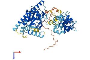 LPCAT1 Protein (AA 1-534) (His tag)