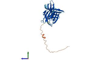 Protein Structure (PS) image for Vacuolar Protein Sorting 26 Homolog B (VPS26B) (AA 1-336) protein (His tag) (ABIN7556006)