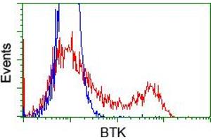Image no. 8 for anti-Bruton Agammaglobulinemia tyrosine Kinase (BTK) antibody (ABIN1496974) (BTK Antikörper)