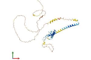 Protein Structure (PS) image for arginine/serine-Rich Coiled-Coil 1 (RSRC1) (AA 1-334) protein (His tag) (ABIN7561304)