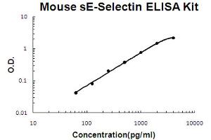 Mouse sE-Selectin Accusignal ELISA Kit Mouse sE-Selectin AccuSignal ELISA Kit standard curve.