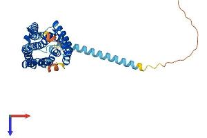 FFAR3 Protein (AA 1-346) (His tag)