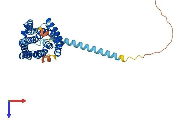 FFAR3 Protein (AA 1-346) (His tag)