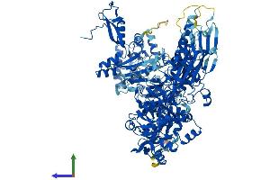 Protein Structure (PS) image for Polymerase (RNA) III (DNA Directed) Polypeptide B (POLR3B) (AA 1-1133) protein (His tag) (ABIN7563480)
