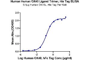 ELISA image for Tumor Necrosis Factor (Ligand) Superfamily, Member 4 (TNFSF4) (AA 51-183), (Trimer) protein (His-DYKDDDDK Tag) (ABIN7275393)