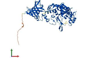 Protein Structure (PS) image for Aspartyl-tRNA Synthetase (DARS) (AA 1-501) protein (His tag) (ABIN7560213)